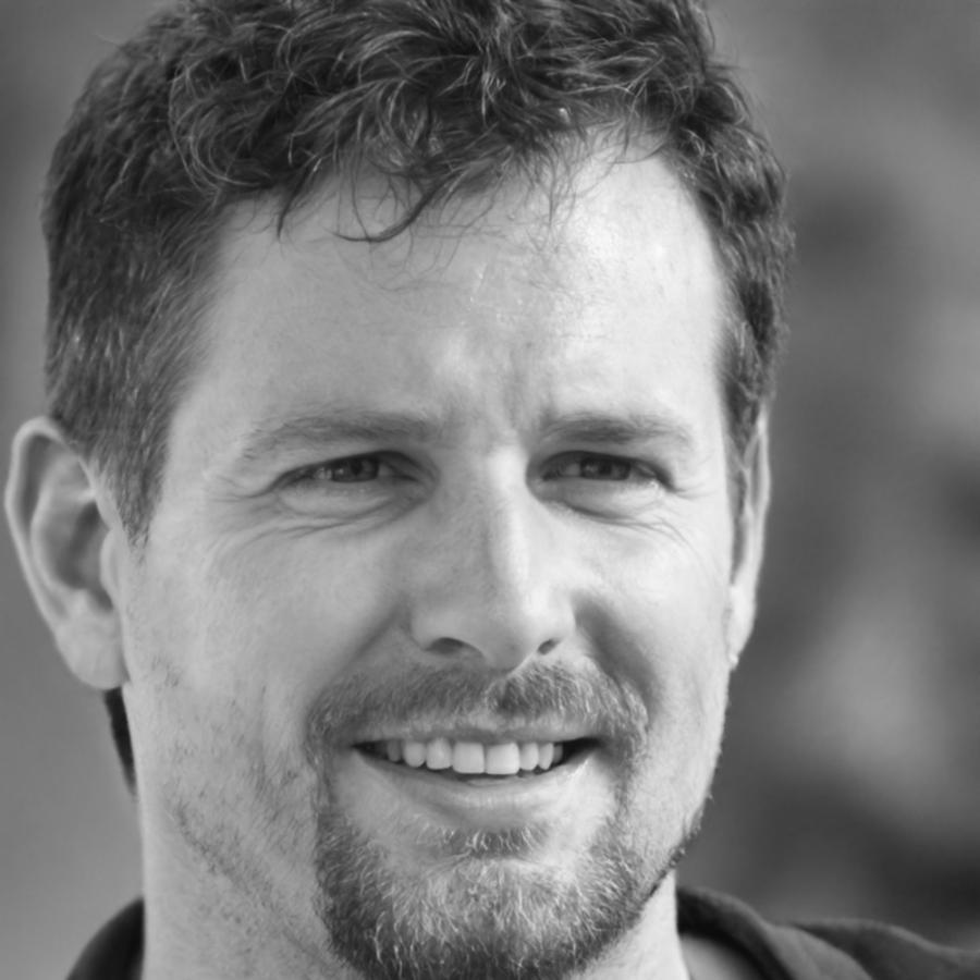 Veit Schreiber, Risikoanalyst